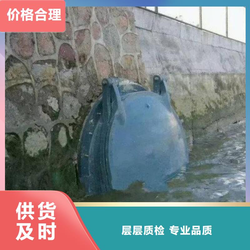 【拍门】铸铁拍门价格实惠
