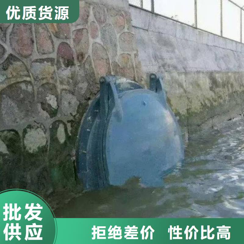 拍门正规厂家