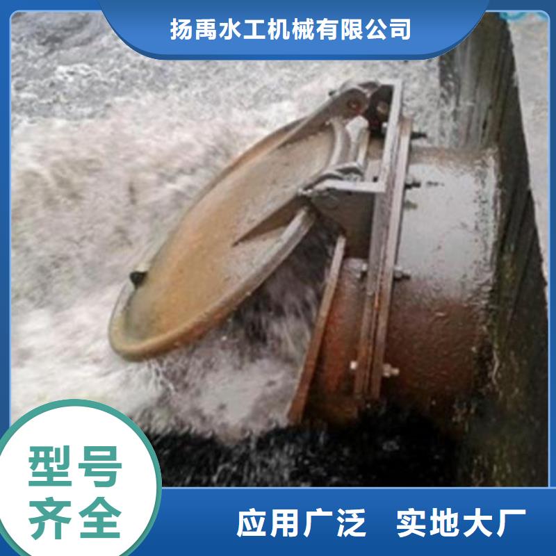 拍门主推产品