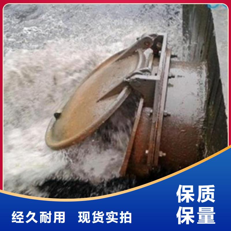拍门主推产品
