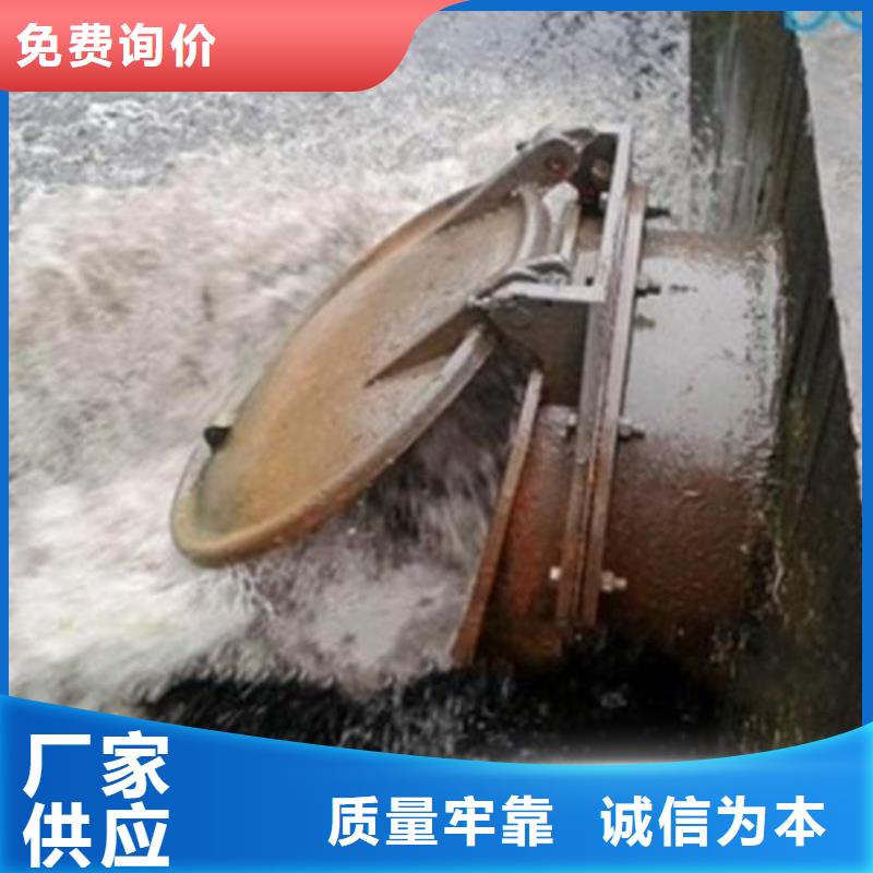 拍门高性价比