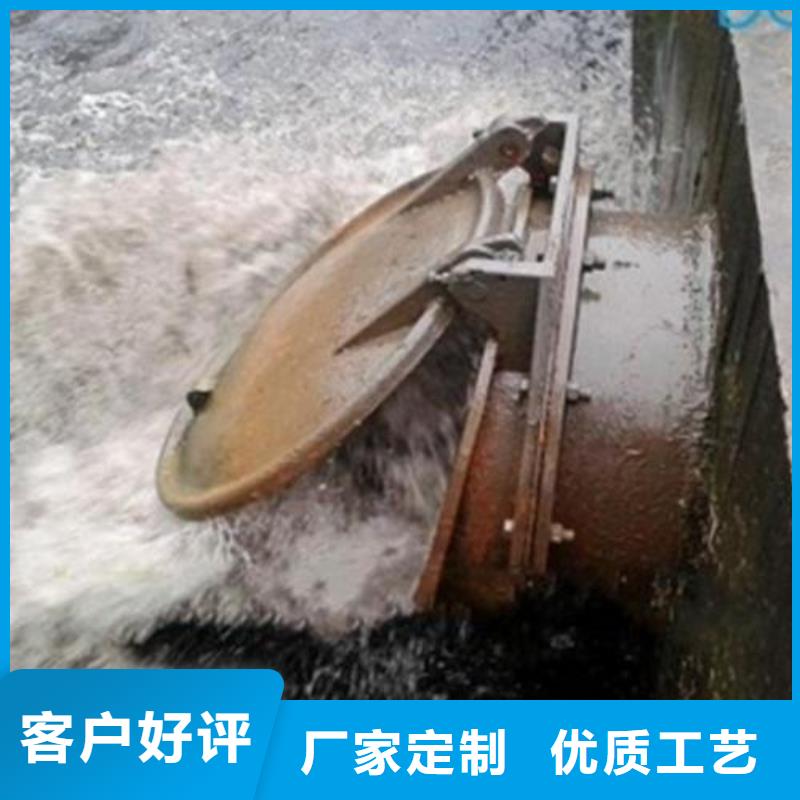  拍门厂家经验丰富