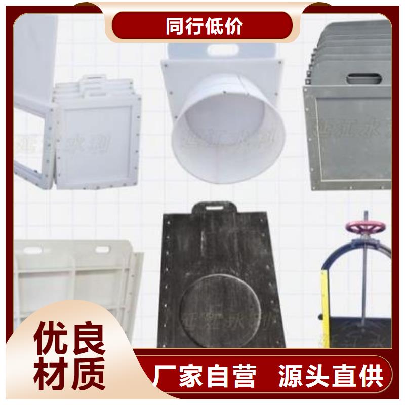 塑料闸门_手提铸铁闸门专业生产N年