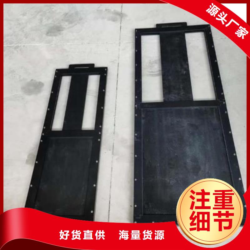 塑料闸门不锈钢清污机用心服务