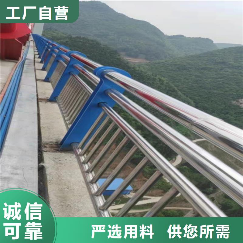 道路护栏山东不锈钢护栏欢迎来电询价