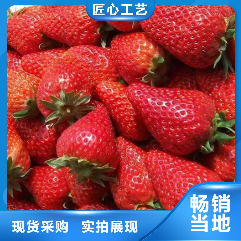 【草莓苗】大红袍花椒苗质检合格出厂