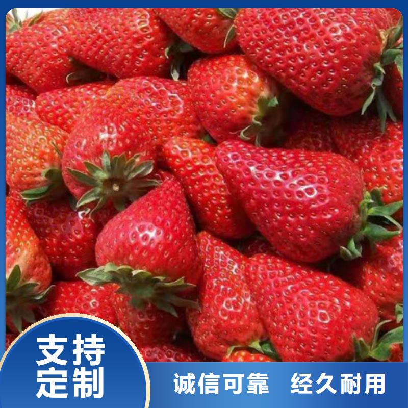 草莓苗桃树苗颜色尺寸款式定制