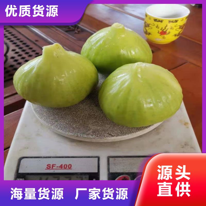 无花果核桃苗每一处都是匠心制作