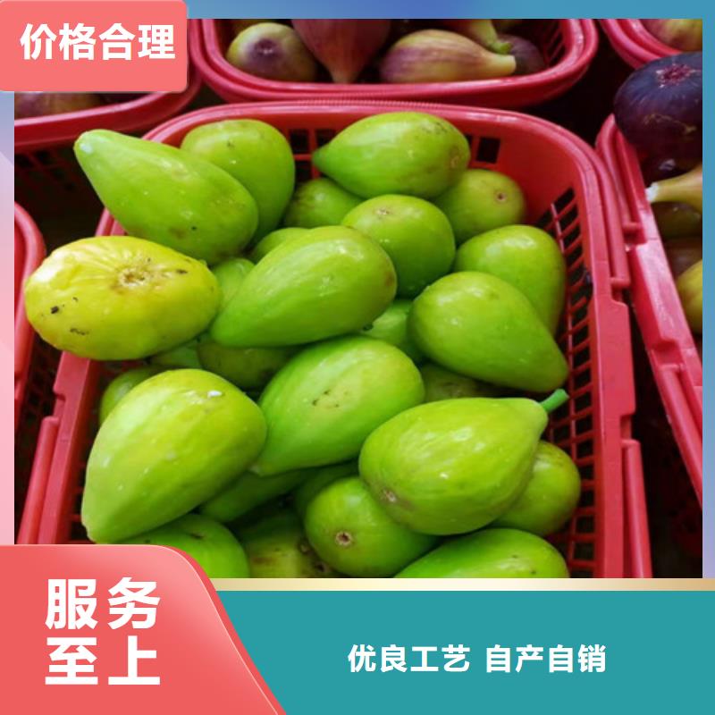 无花果_油蟠7-7实力公司