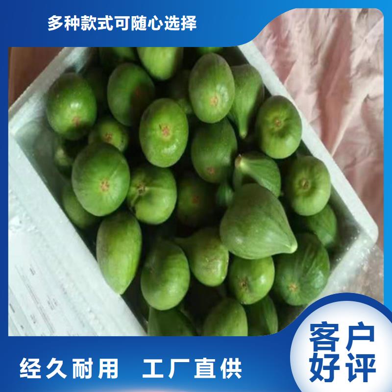 桃树苗-视频-桃树苗|阿拉善市|赤峰|兴安|呼伦贝尔|锡林郭勒|通辽|乌兰察布