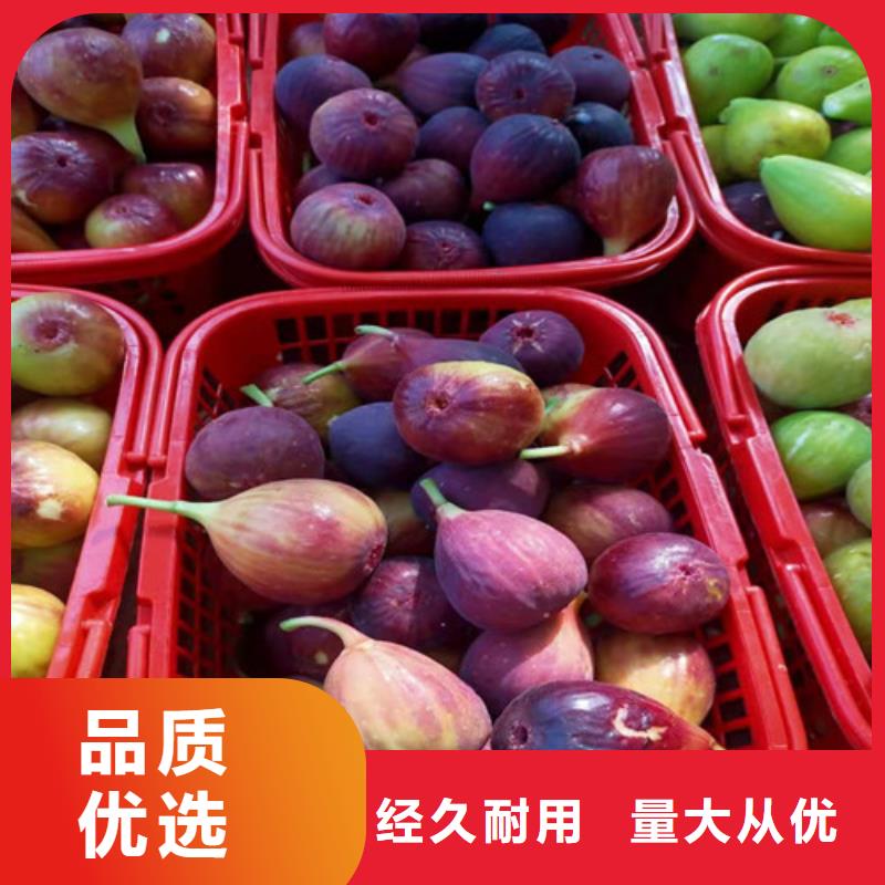 桃树苗-视频-桃树苗|阿拉善市|赤峰|兴安|呼伦贝尔|锡林郭勒|通辽|乌兰察布