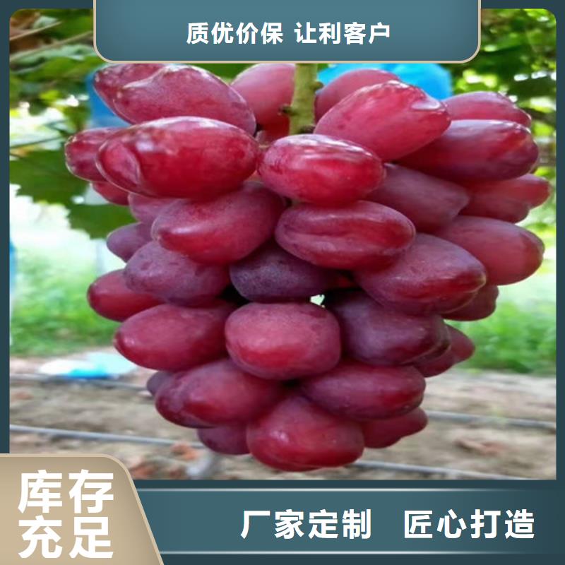 葡萄软枣猕猴桃苗资质认证