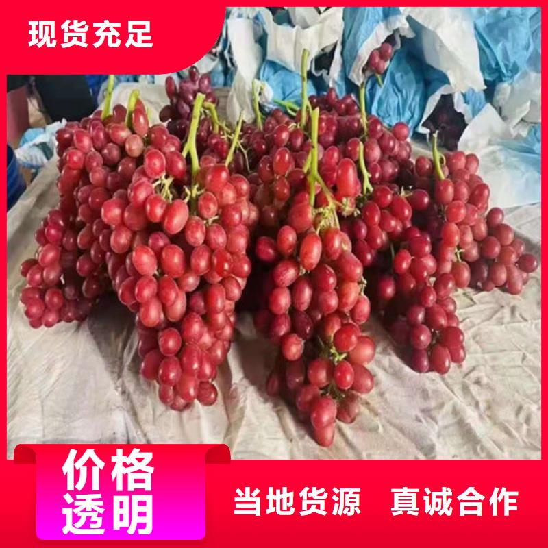 葡萄软枣猕猴桃苗资质认证