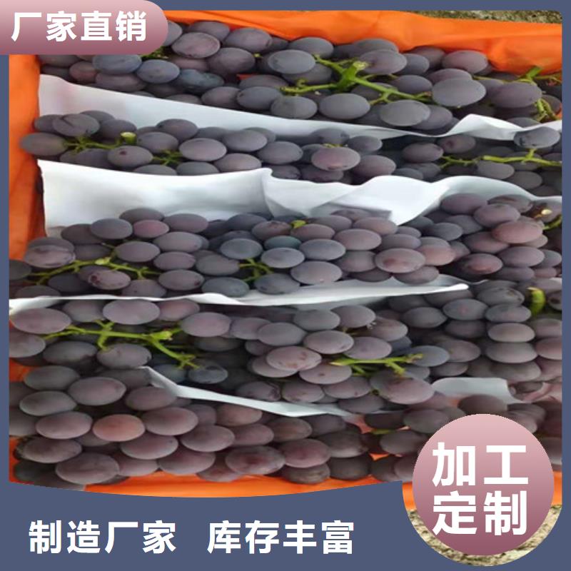桃树苗-视频-凤冈|绥阳|贵阳|黔南|安顺|黔东南|六盘水|毕节|黔西南兴业桃树苗_ 苗木中心(遵义市分公司)