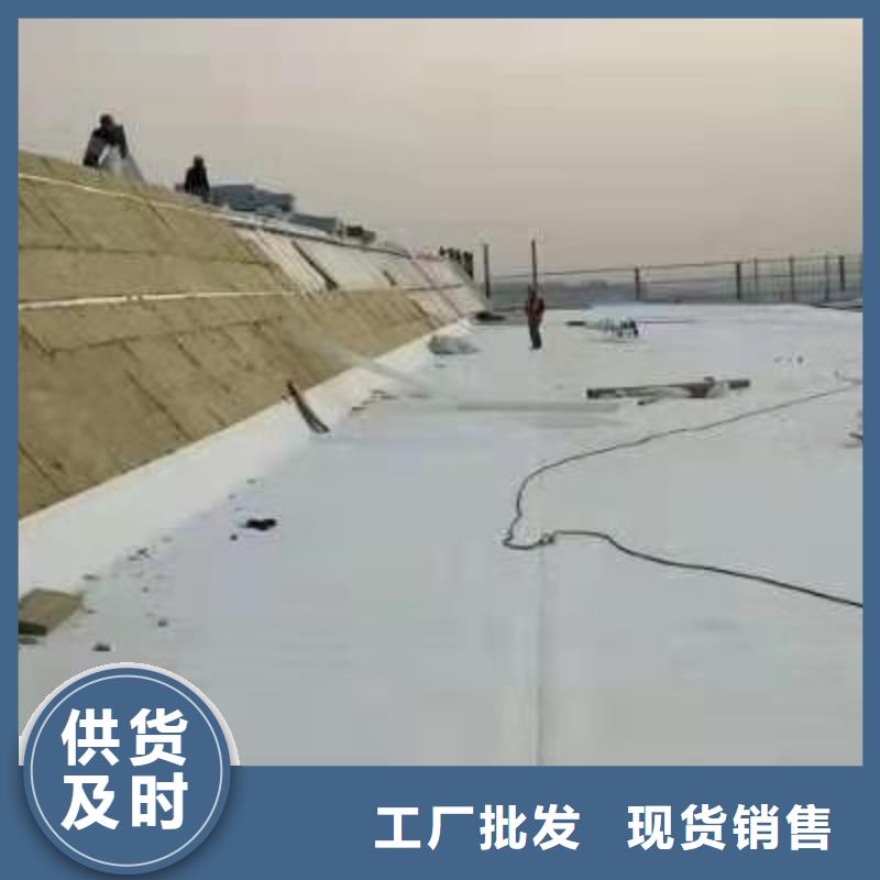 TPOTPO防水卷材免费寄样