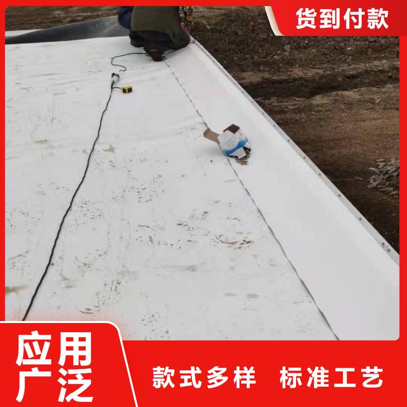 PVC-PVC防水卷材施工队货源直供