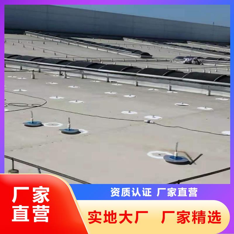 PVCTPO防水卷材施工队质量优价格低