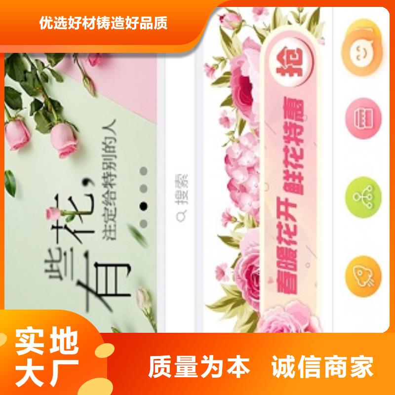 小程序制作小程序定制做工细致
