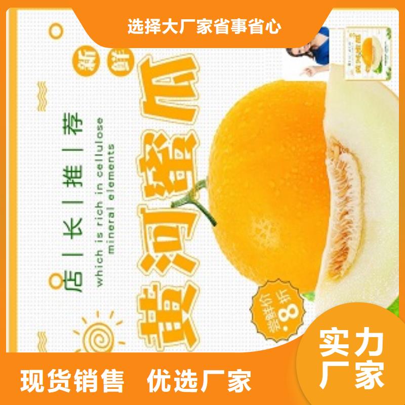小程序制作设计小程序高品质诚信厂家
