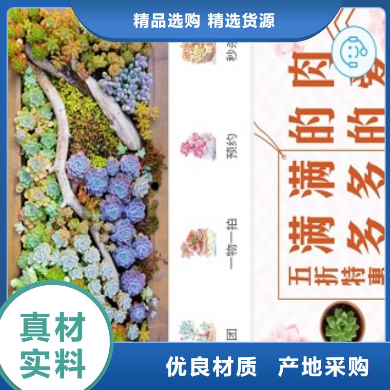 小程序制作,研发小程序可放心采购