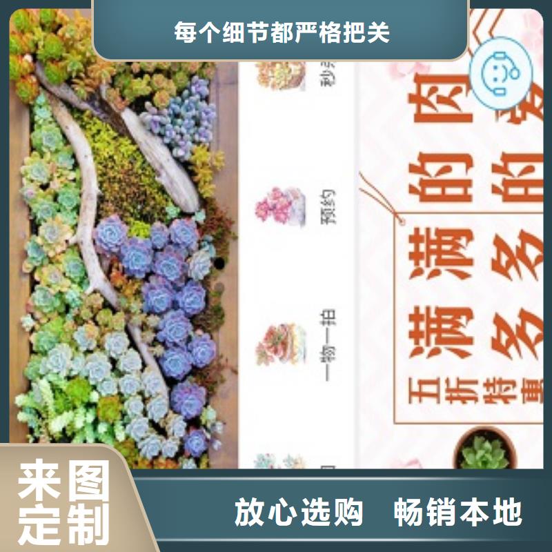 小程序制作-小程序设计多年经验值得信赖