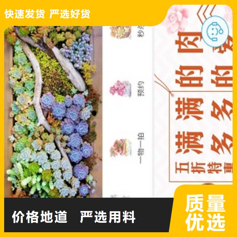 小程序制作小程序平台分销工厂直营
