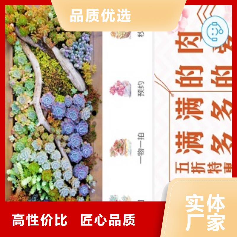 小程序制作,APP开发定制价格实在