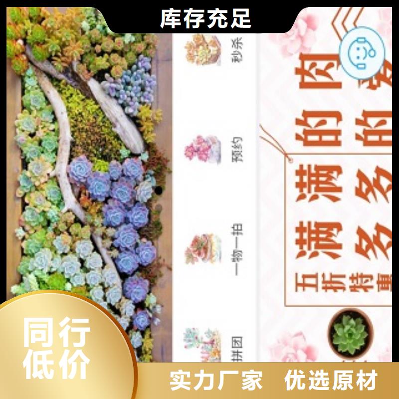 小程序制作小程序开发批发价格