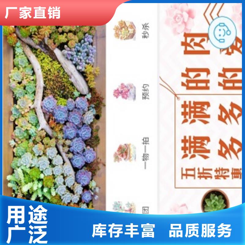 小程序制作,APP开发定制价格实在