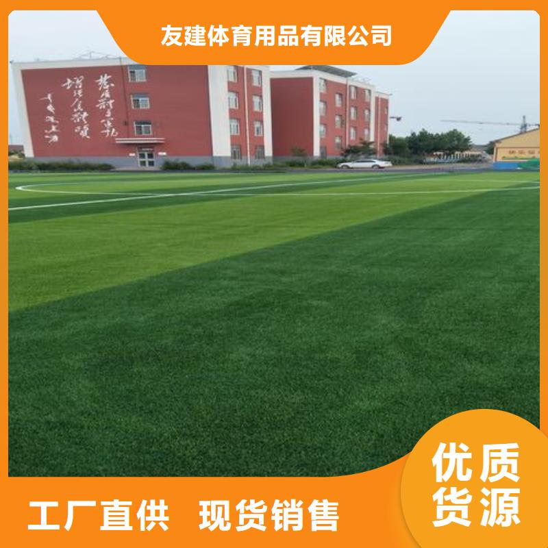 塑胶跑道幼儿园足球场实体厂家支持定制