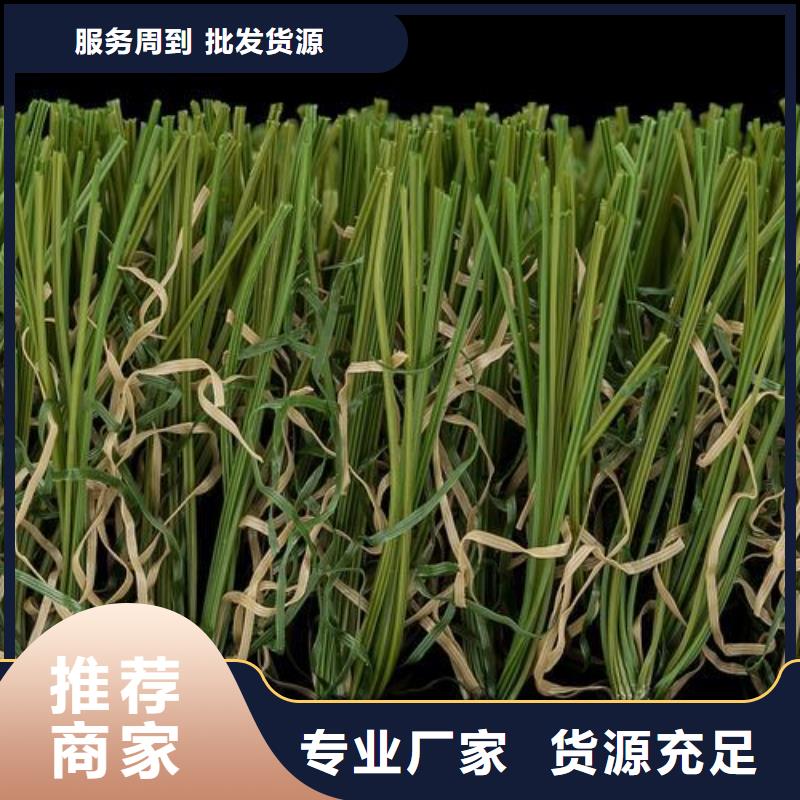 塑胶跑道品质保障售后无忧