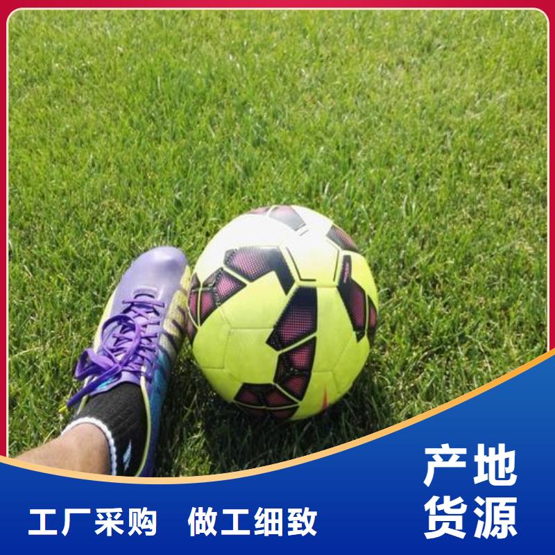 塑胶跑道环氧地坪源头实体厂商