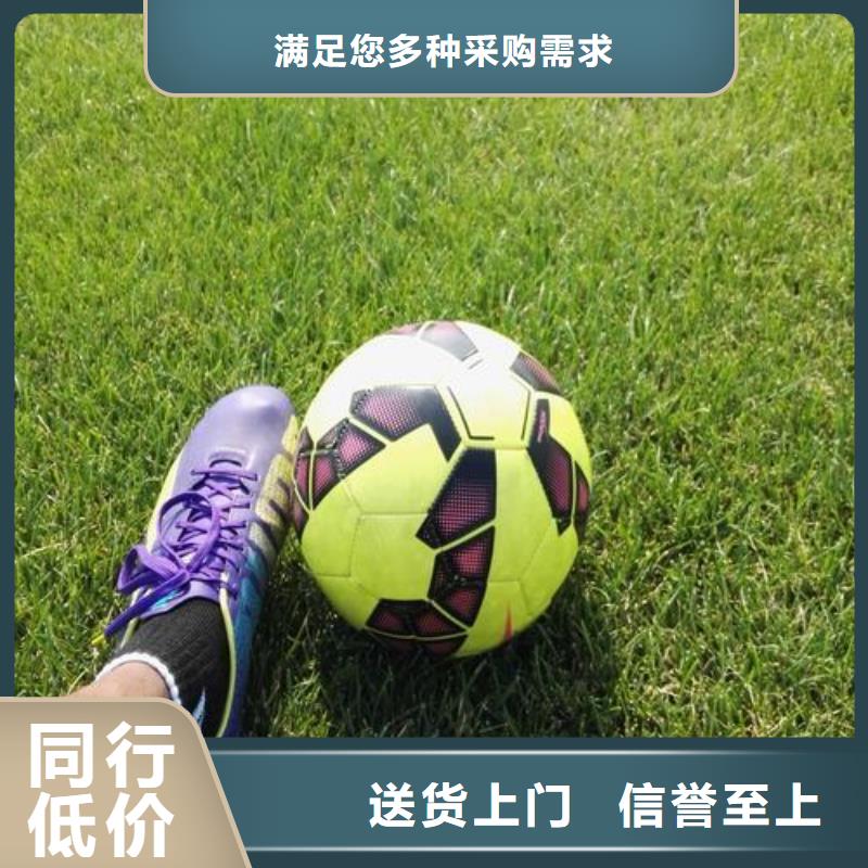 【塑胶跑道体育场塑胶跑道专业生产厂家】