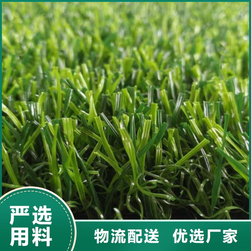 塑胶跑道,塑胶跑道厂家专业生产团队