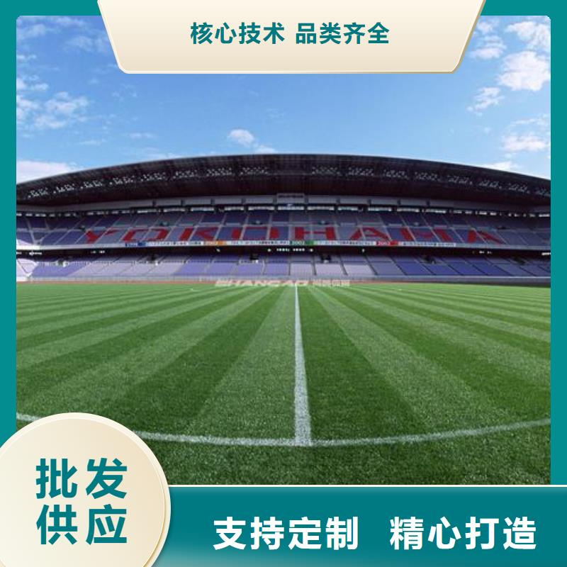 塑胶跑道厂家实力雄厚