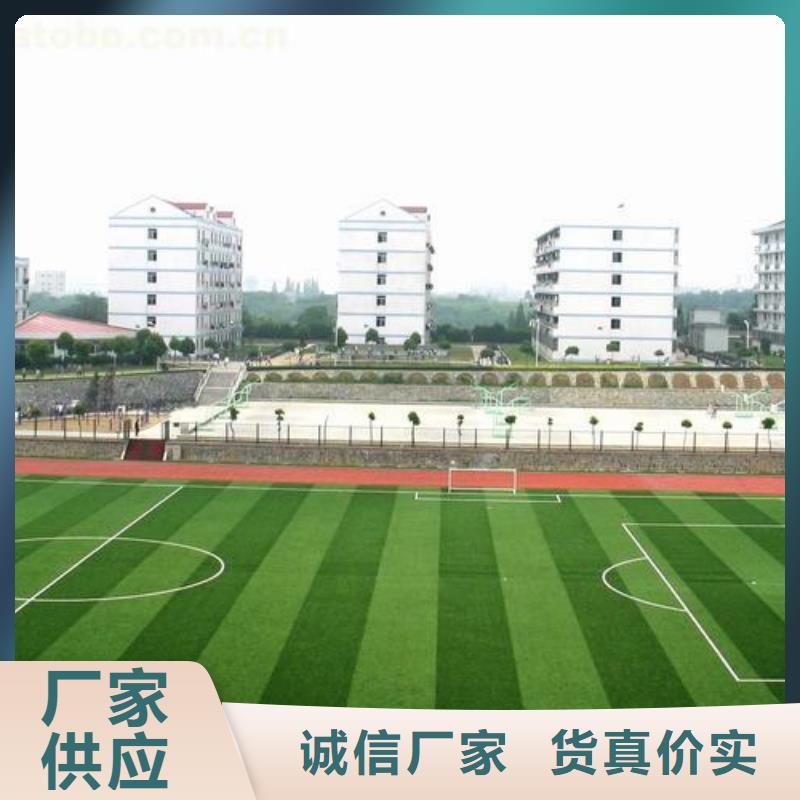 塑胶跑道,硅PU球场施工专业按需定制