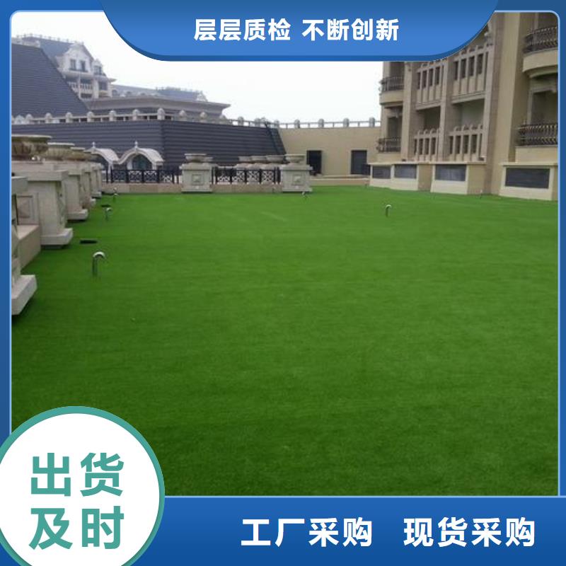 塑胶跑道幼儿园足球场拒绝中间商