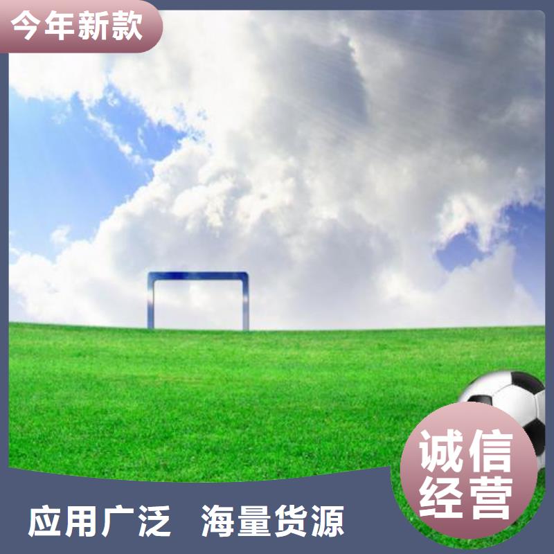 【塑胶跑道】塑胶跑道施工货源充足