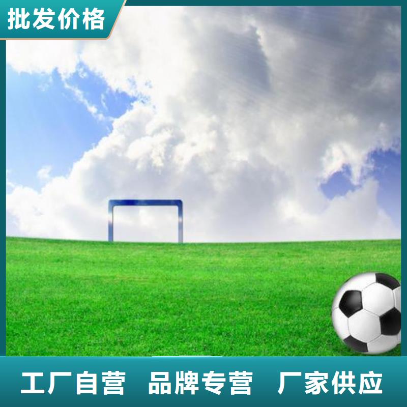 塑胶跑道塑胶跑道厂家老品牌厂家