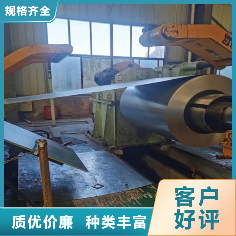 有实力的B50A290-A电工钢带厂家