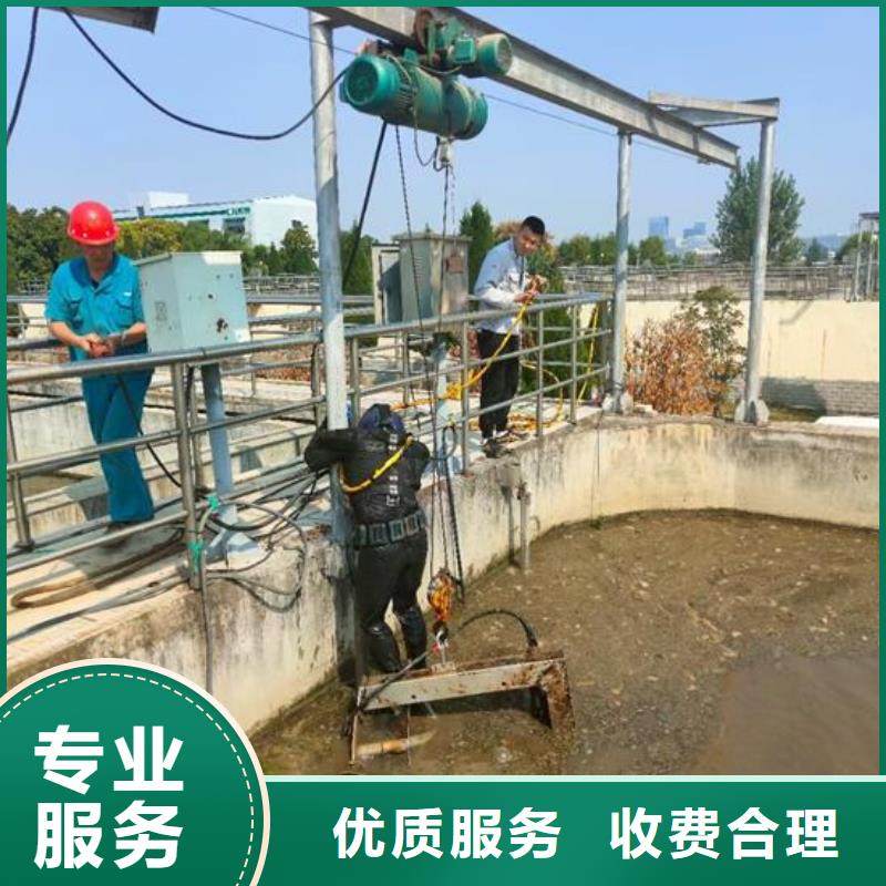 蛙人服务公司-实力派潜水队