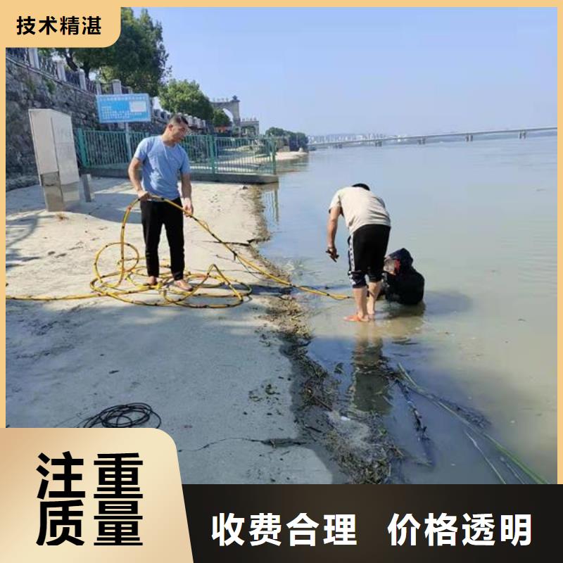 蛙人服务公司-本地潜水队伍