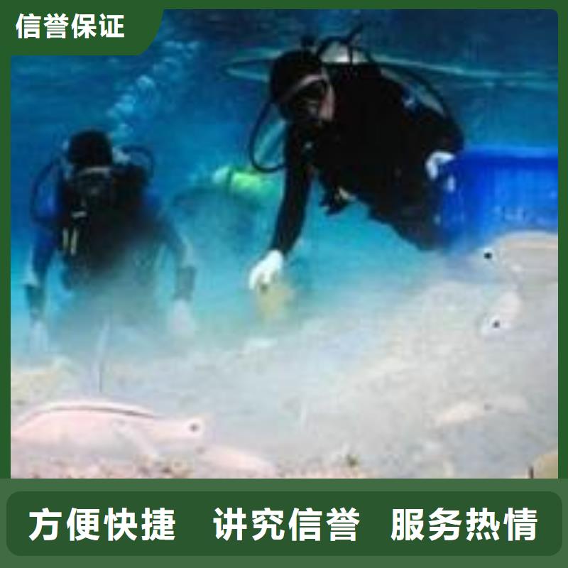 水下作业 水下机器人优质服务