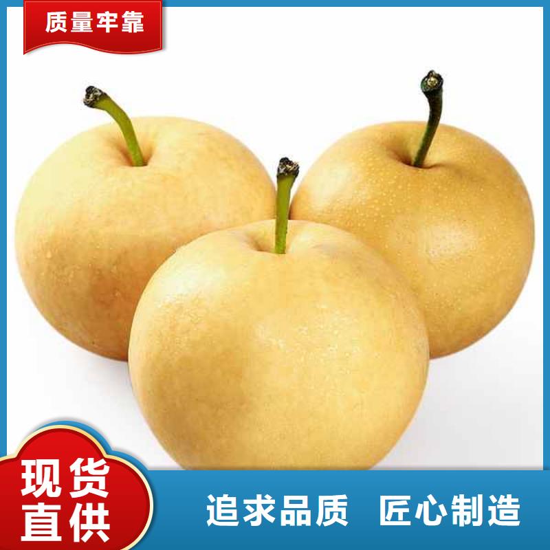 梨瑞蟠101桃树苗品质无所畏惧