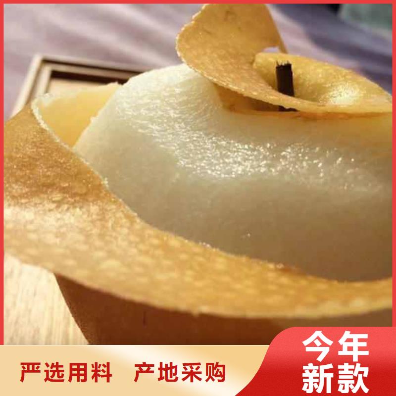 梨_杜梨苗厂家