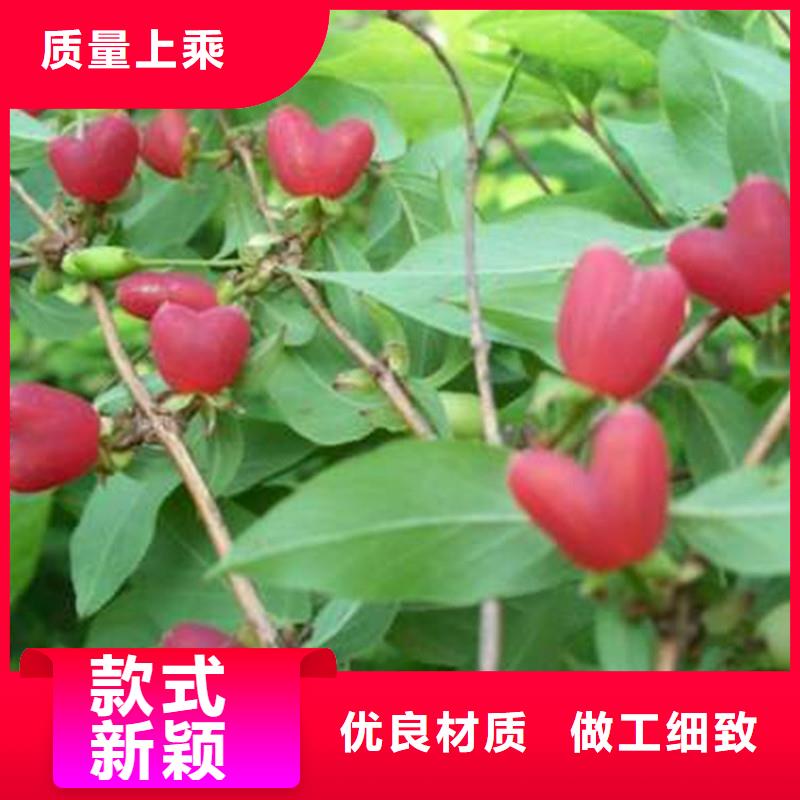 杈杷果_【桃树苗】品质有保障