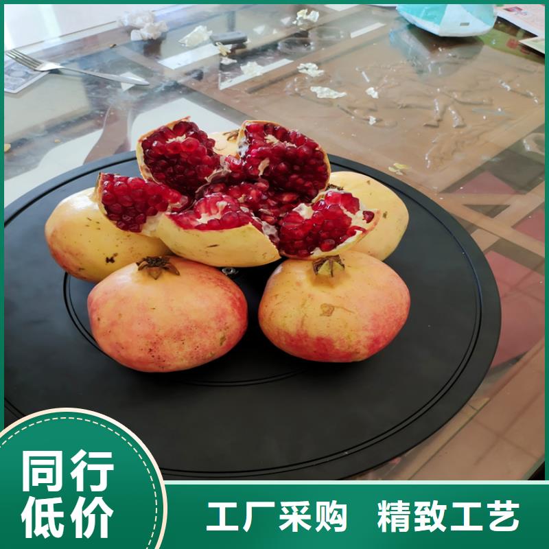 北美冬青-视频-陆良|富源|怒江|红河|昆明|楚雄轩园北美冬青_ 轩园园艺场(曲靖市分公司)