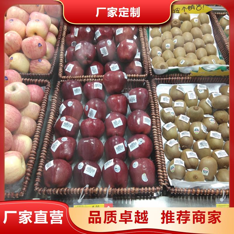 苹果,杏树苗厂家直接面向客户