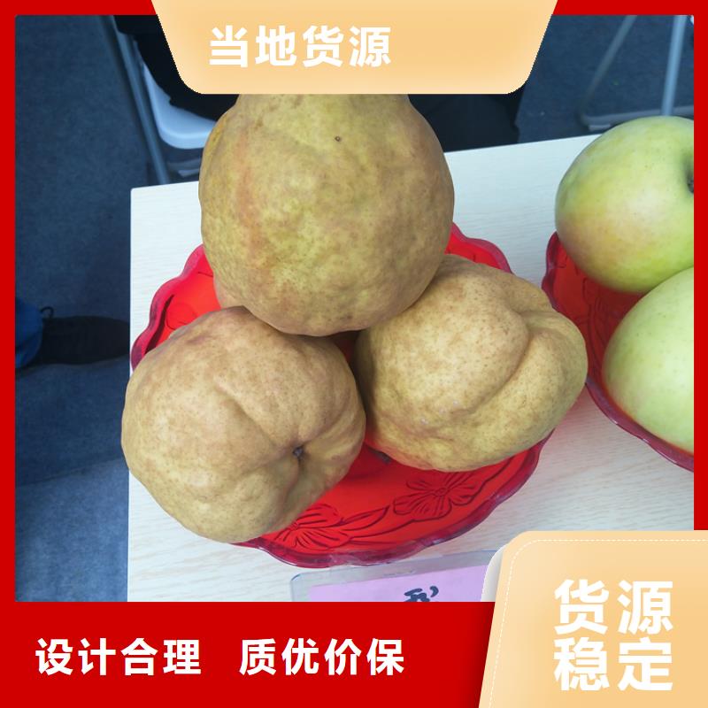 梨树,草莓苗免费安装