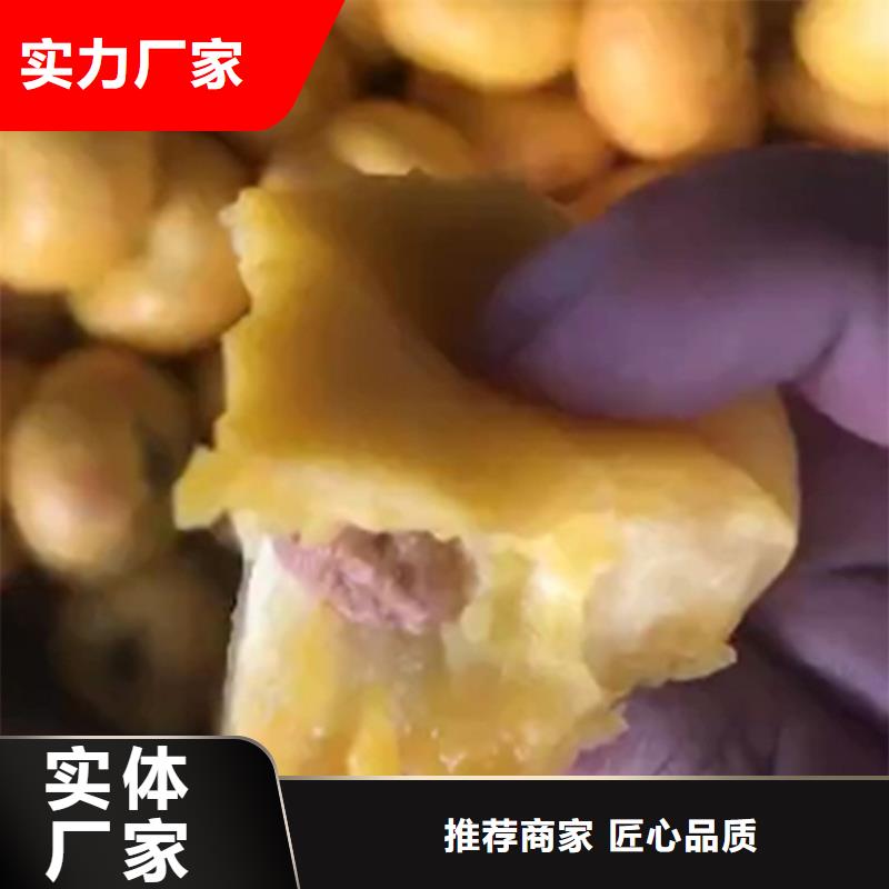 北美冬青-视频-北美冬青-青海省玉树市此地服务商-黄南|海北|海东|果洛|西宁|海南